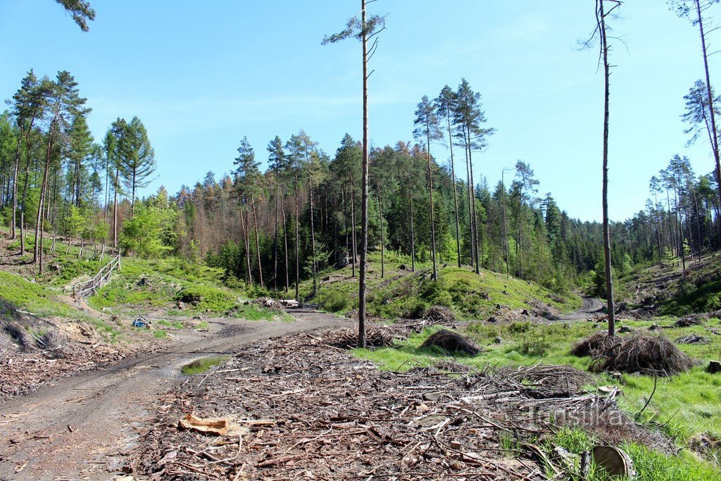 Valley of the Doubické stream