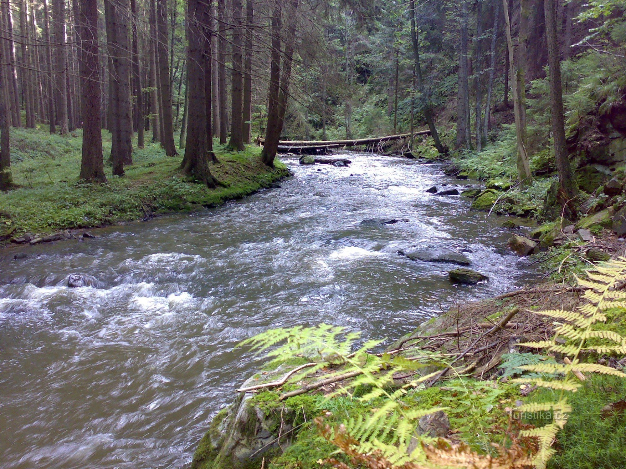 Vallée de la Doubrava.