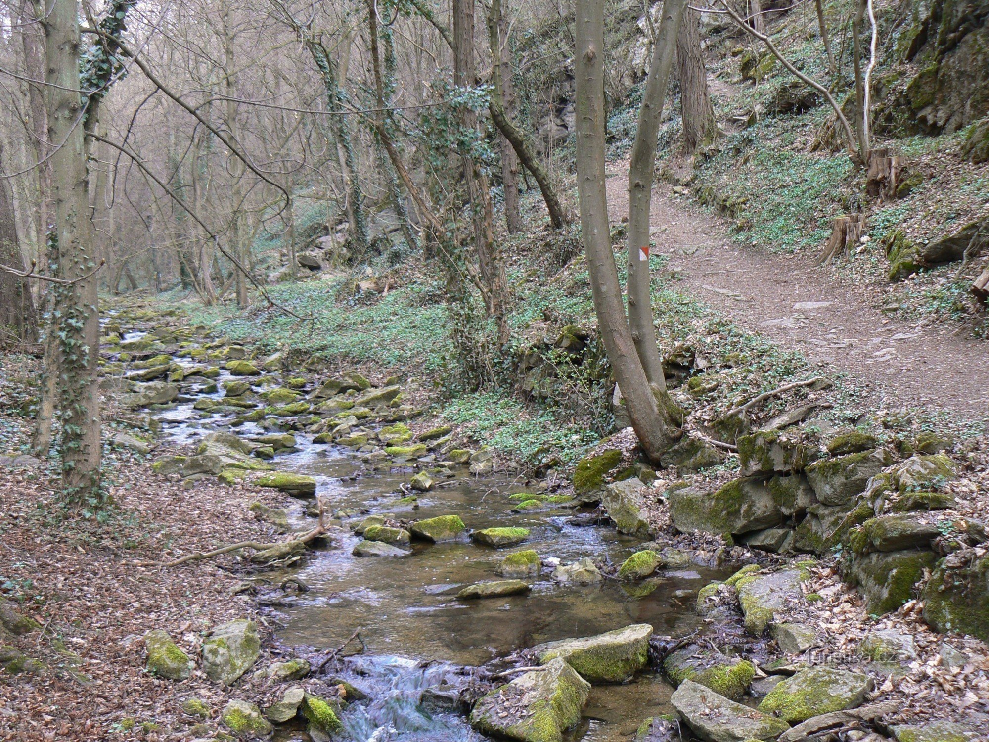 La valle del Gránické Potok