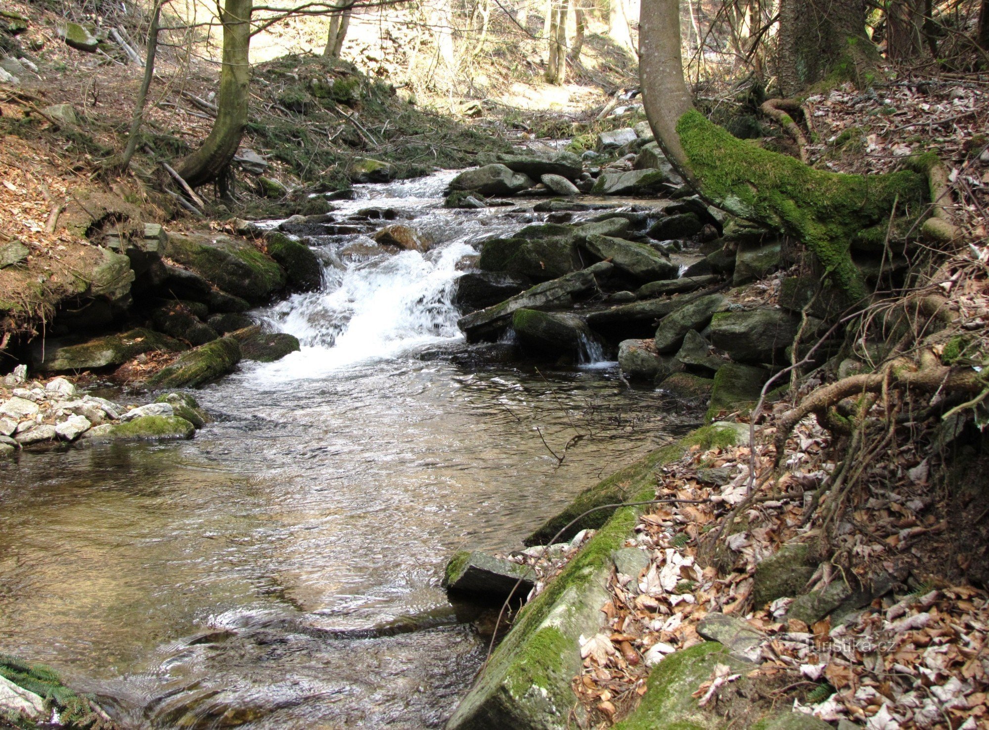 Vallée de Hučava