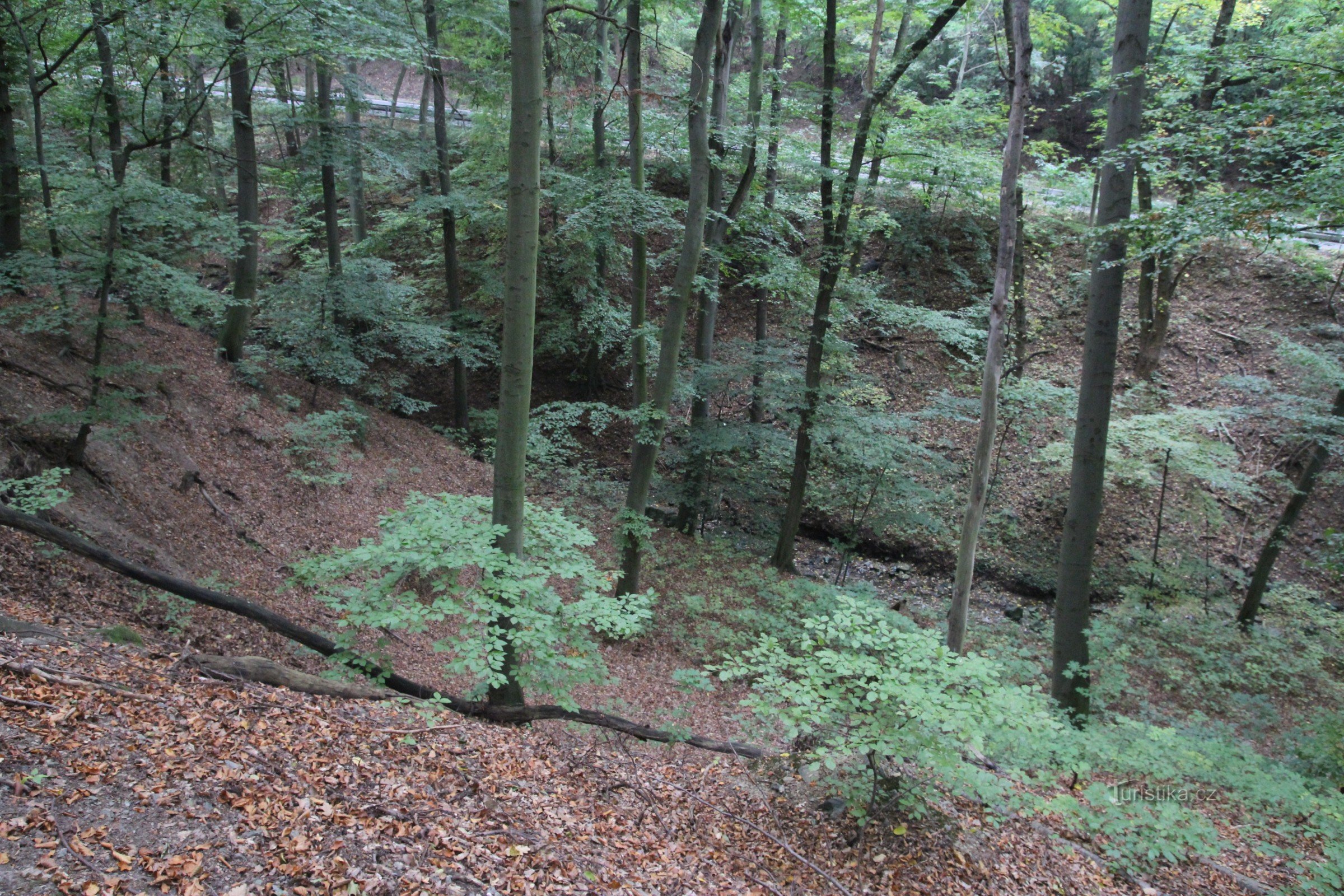 Valea pârâului Kohoutovické - un monument al naturii