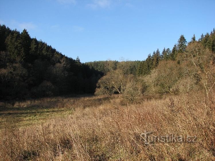 Kosí brook valley