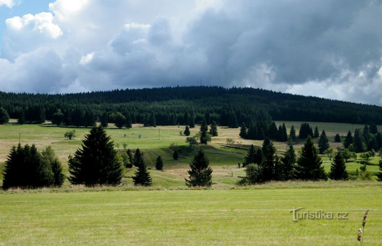 Goat Creek Valley