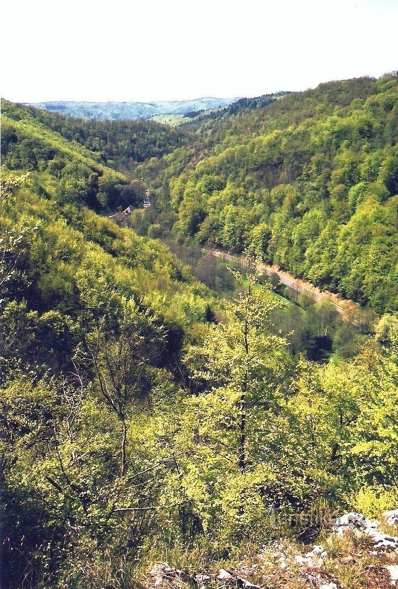 The valley of Křtinského potok in the NPR Býčí skála