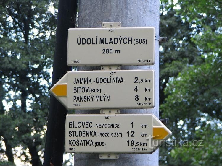 Dolina mladih