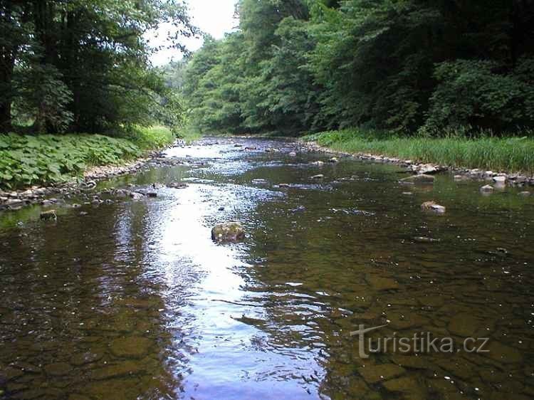 Moravice Valley