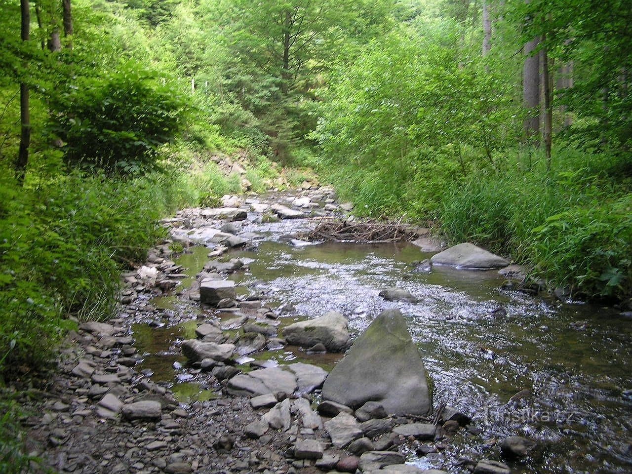 El valle de Sázava de Moravia