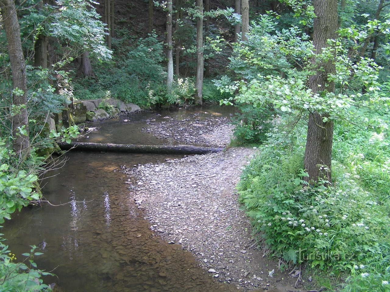 The Moravian Sázava Valley