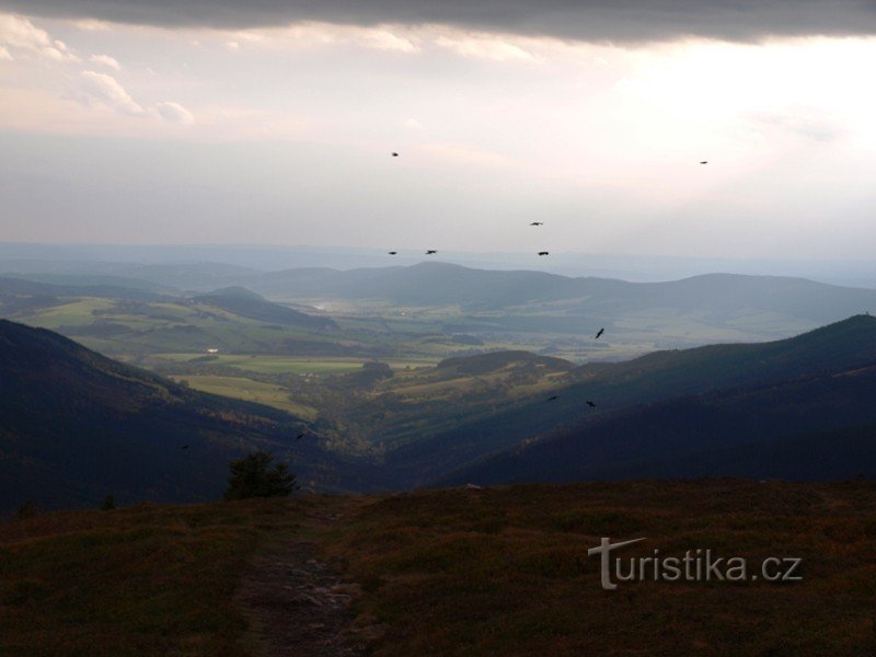 Thung lũng Morava từ Sněžník