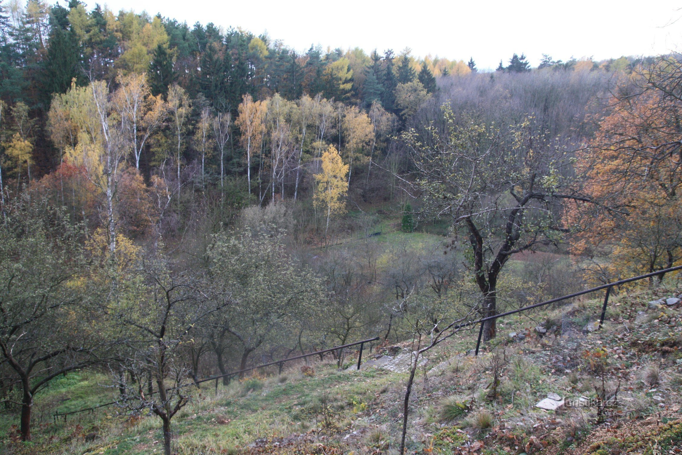 Valea din partea de vest a terasamentului