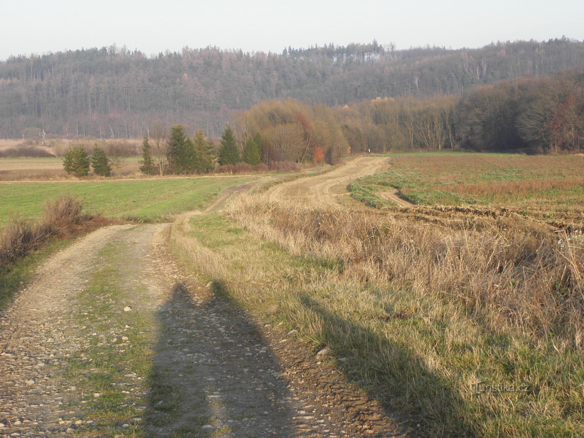 de Opava-vallei, Štěpán-vijver in het riet aan de linkerkant (van Martinov)