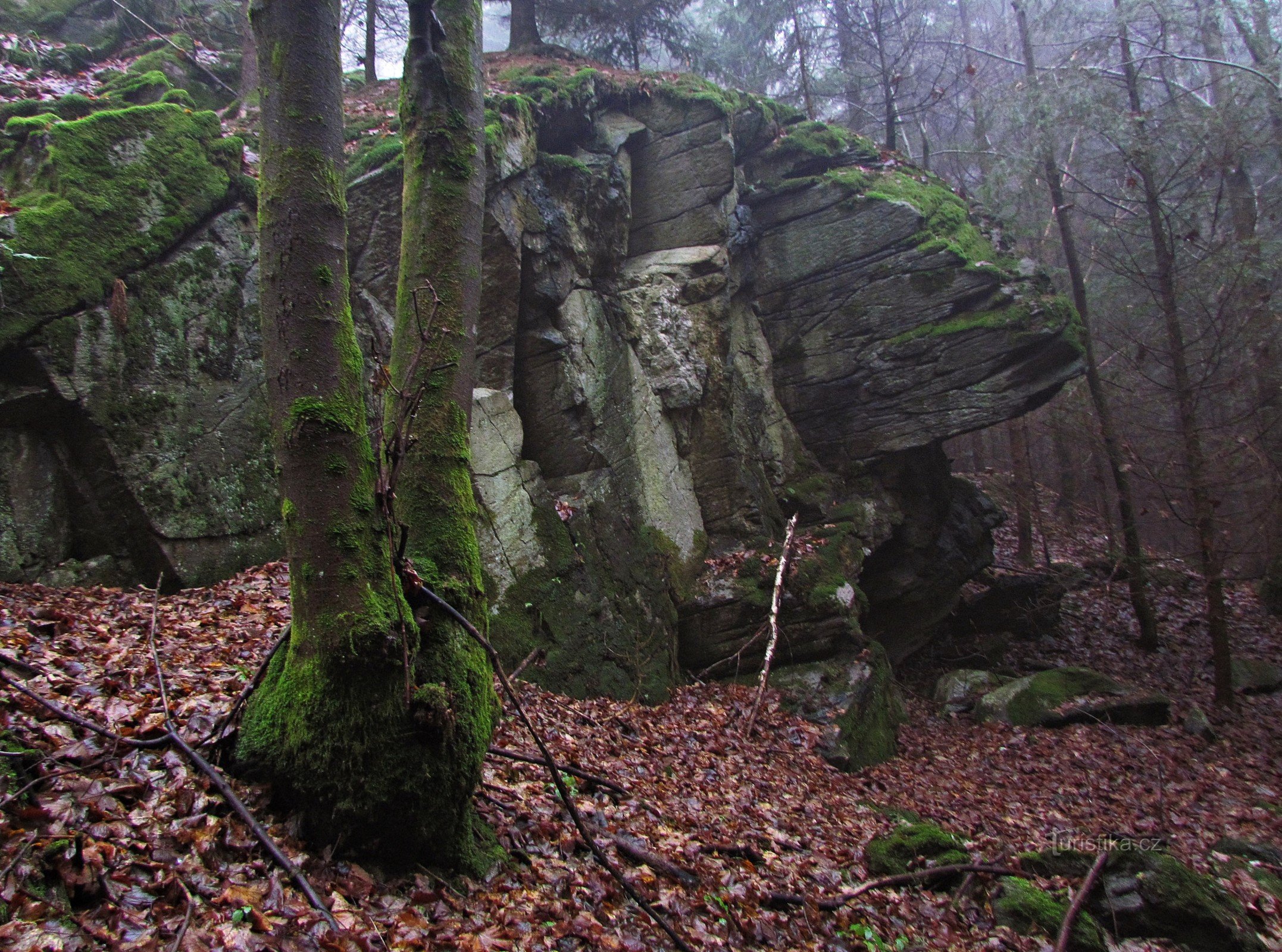 Thung lũng Oskavy Nad Bedřichov - đá