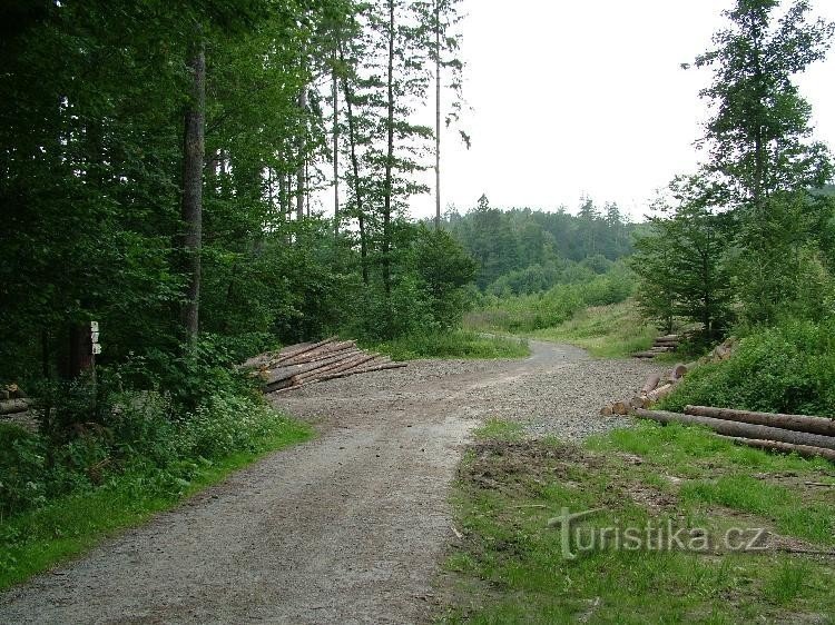 Polančice Valley - crossroads