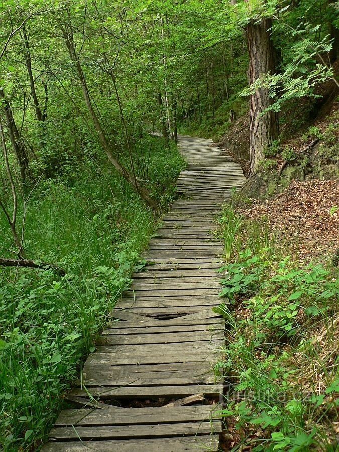 Psovka Valley