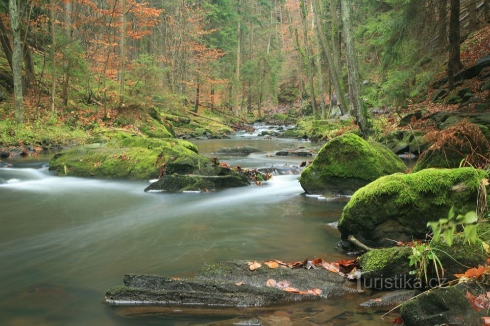 valle del fiume Doubrava, Sokolovec