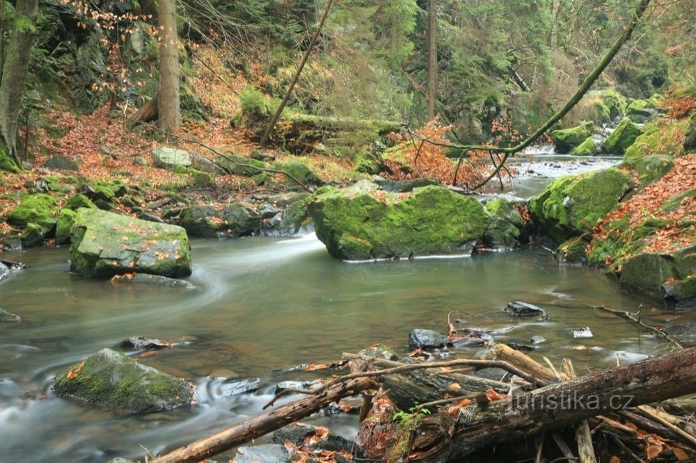 Tal des Flusses Doubrava, Sokolovec