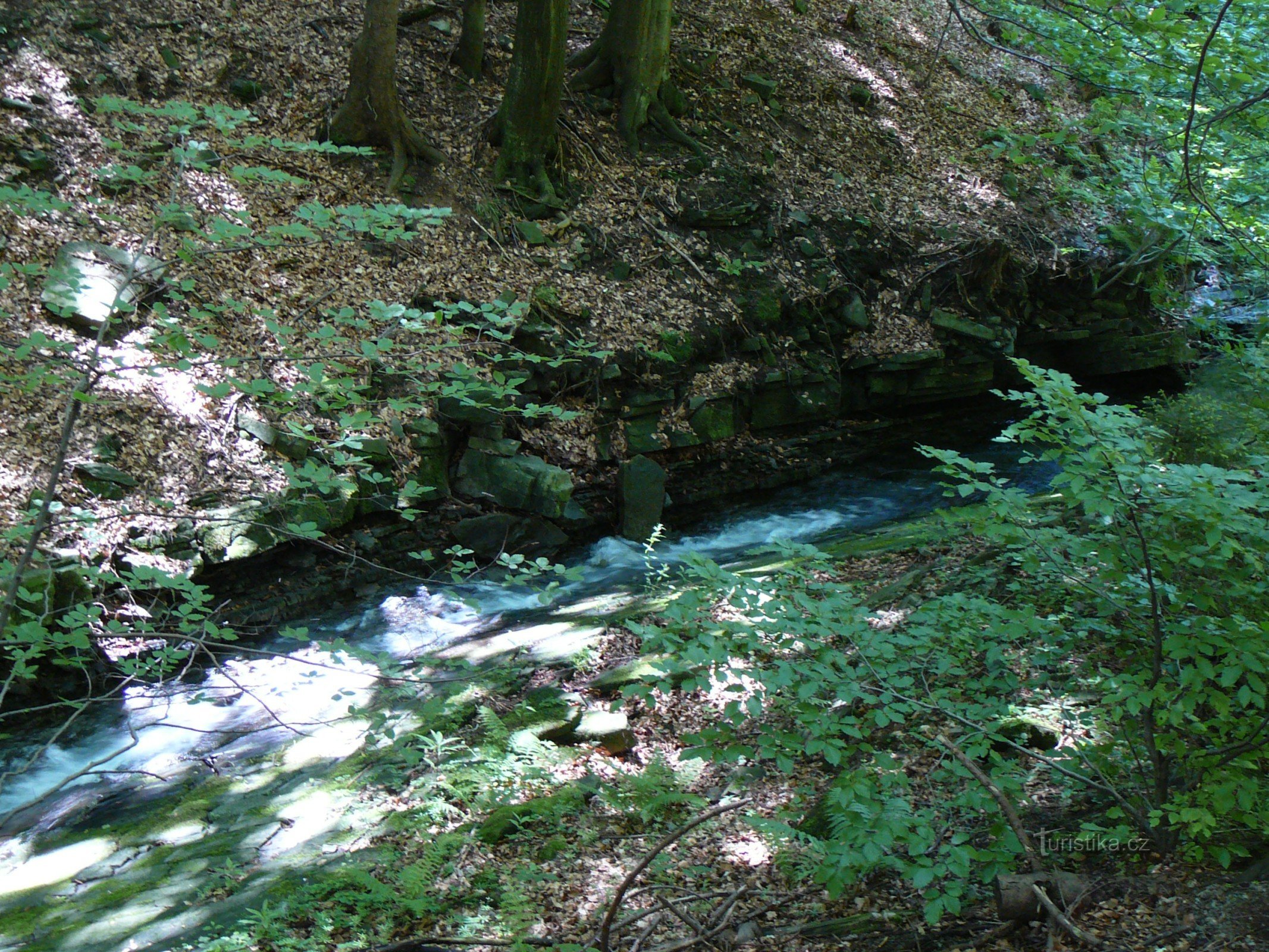 Vallée de la Ropicné