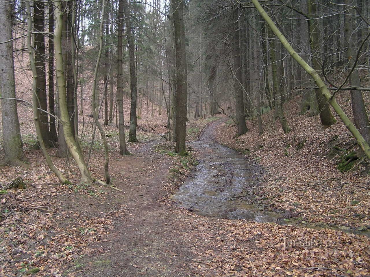 Vallée des coffres-forts