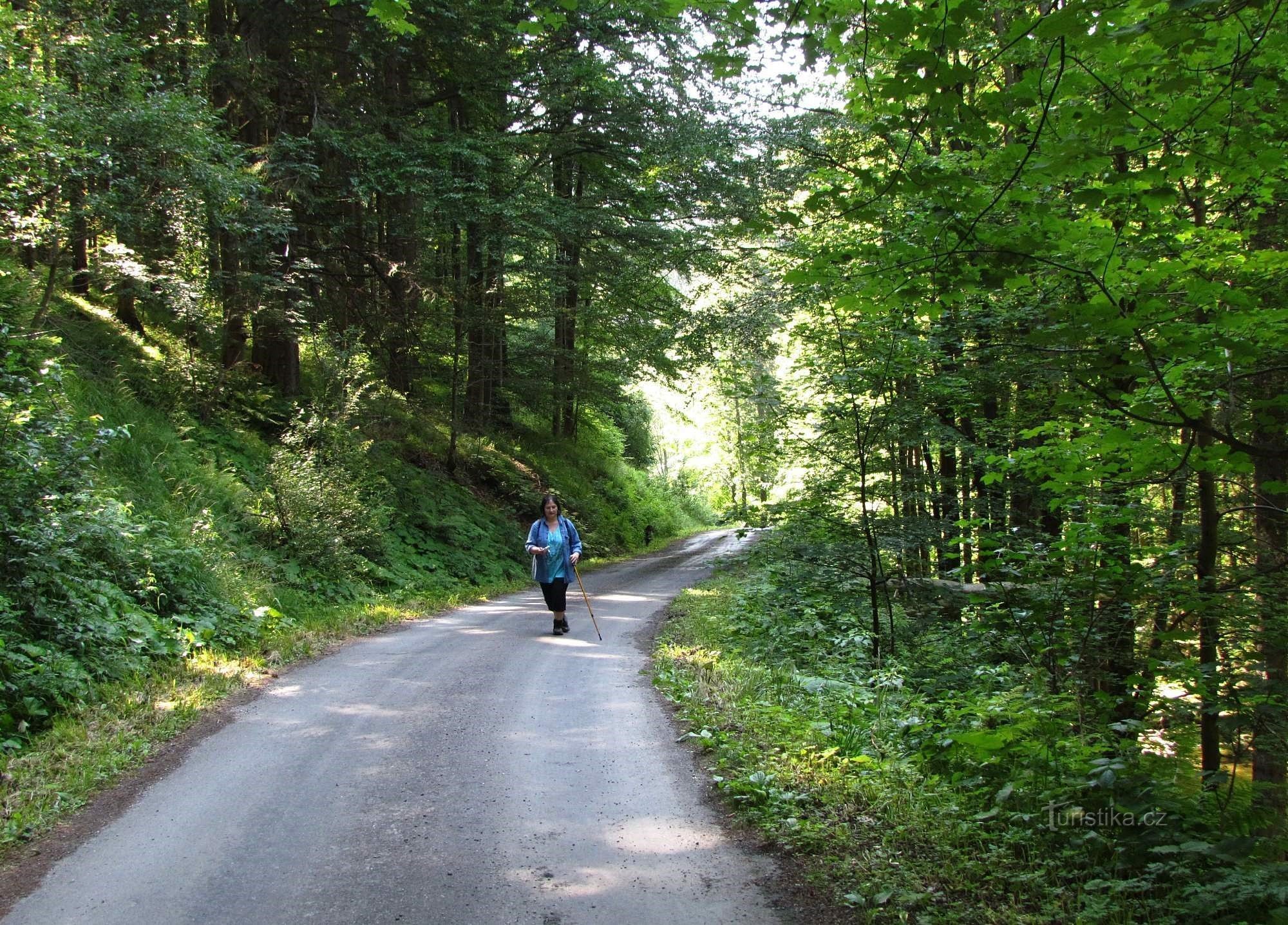 valea pârâului Skalní