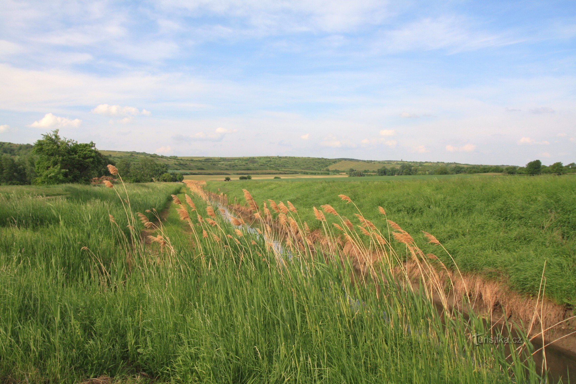 Valle de Trkmanka sobre Velké Pavlovice