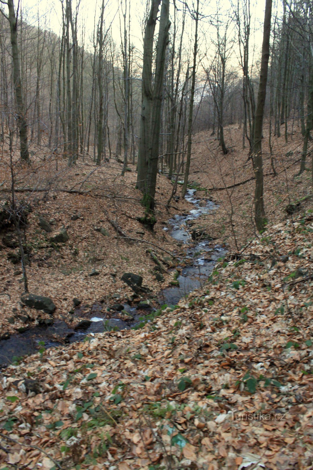 De vallei van de Unčín-stroom