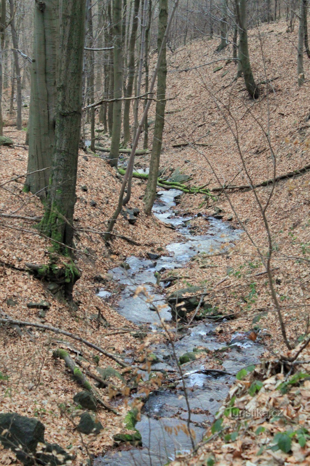 La valle del torrente Unčín