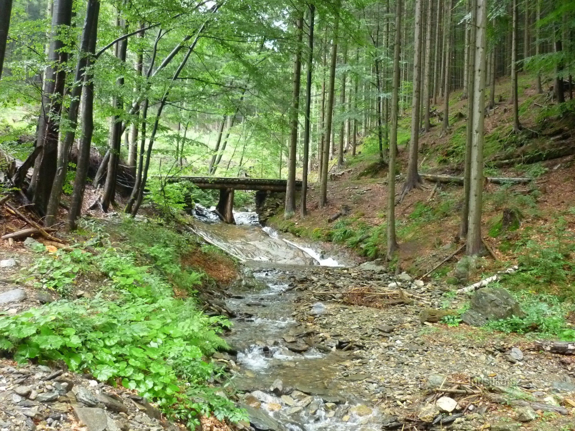 Vrazedné Potok Valley