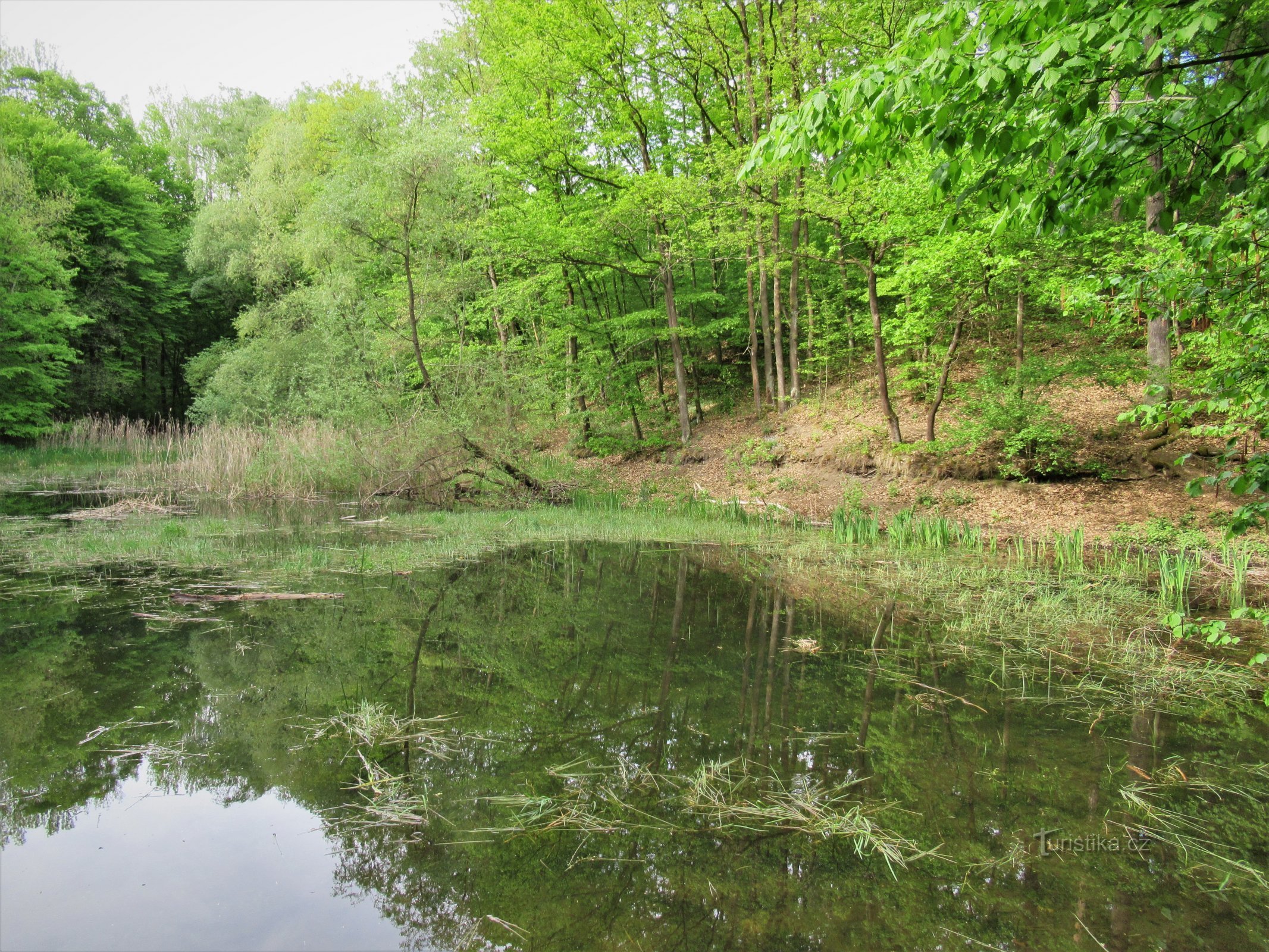 Valley of the Hare Creek