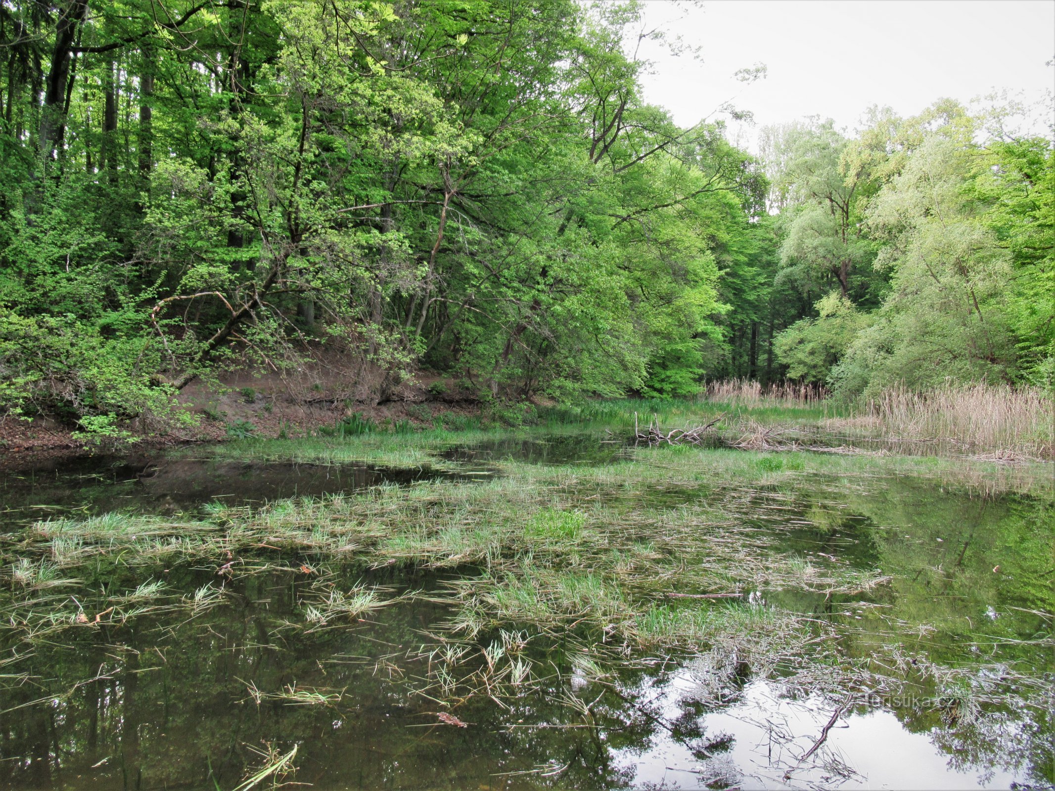 Valley of the Hare Creek