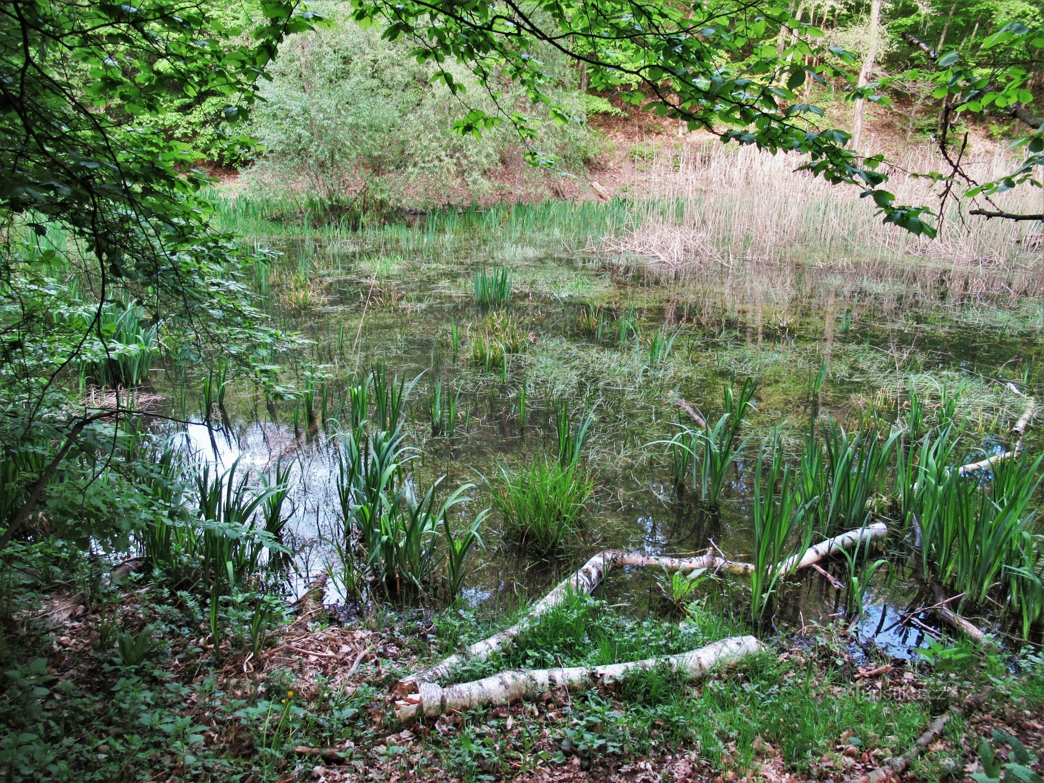 Valley of the Hare Creek