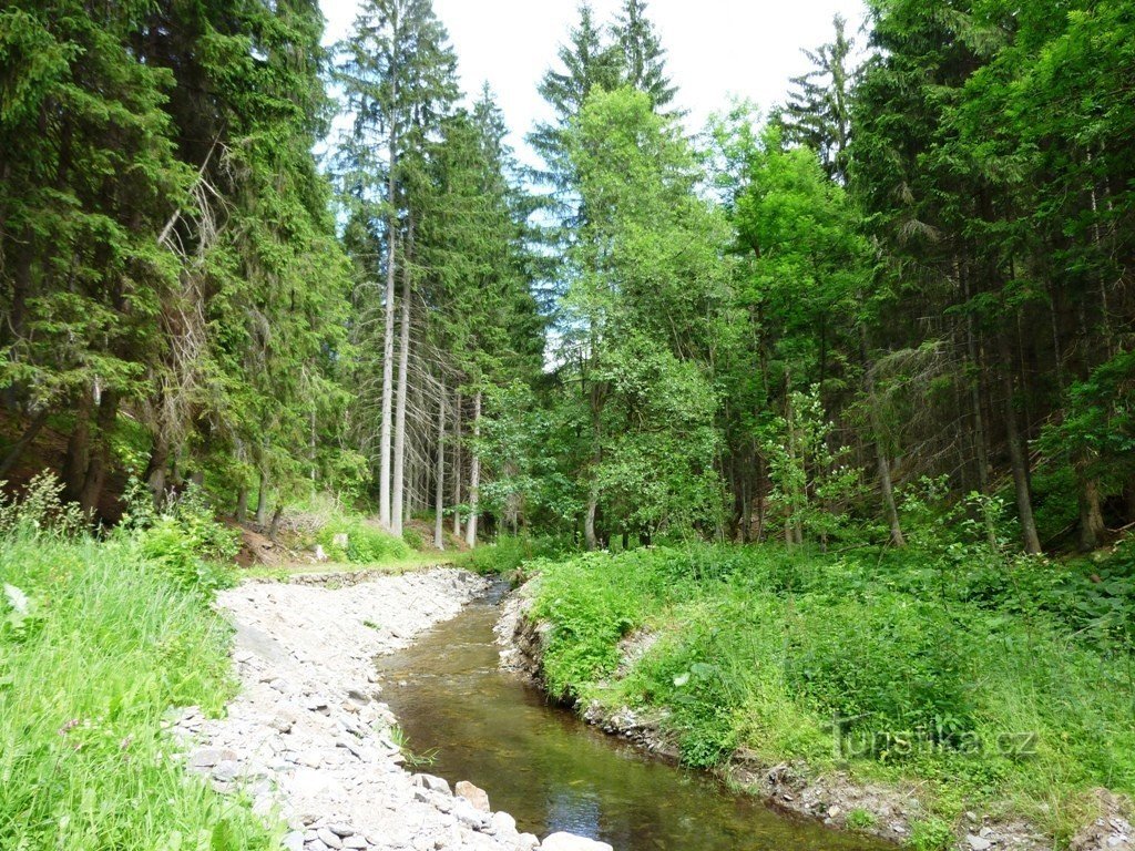 valle di Zlaté potok