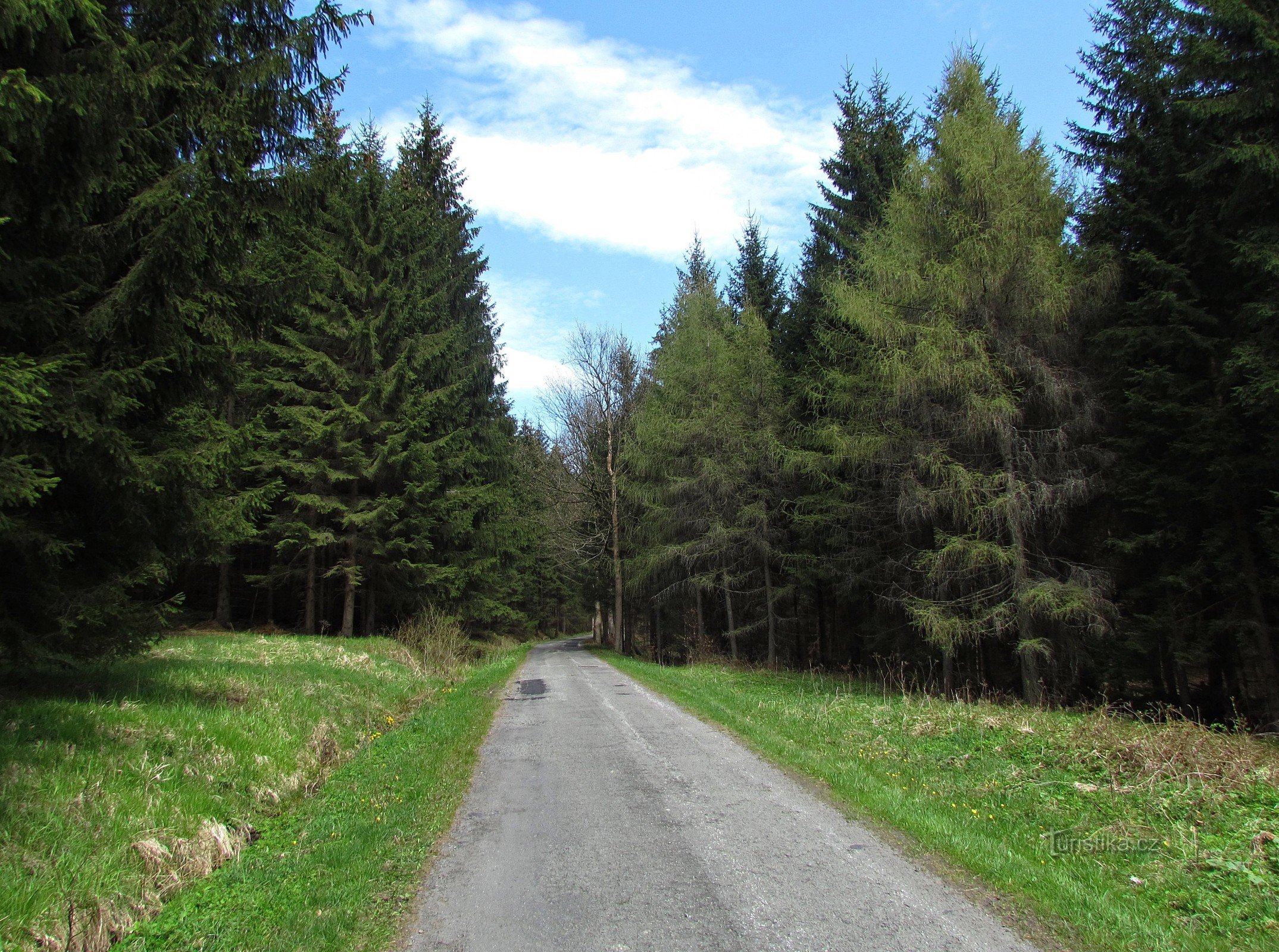 Valle del torrente d'oro