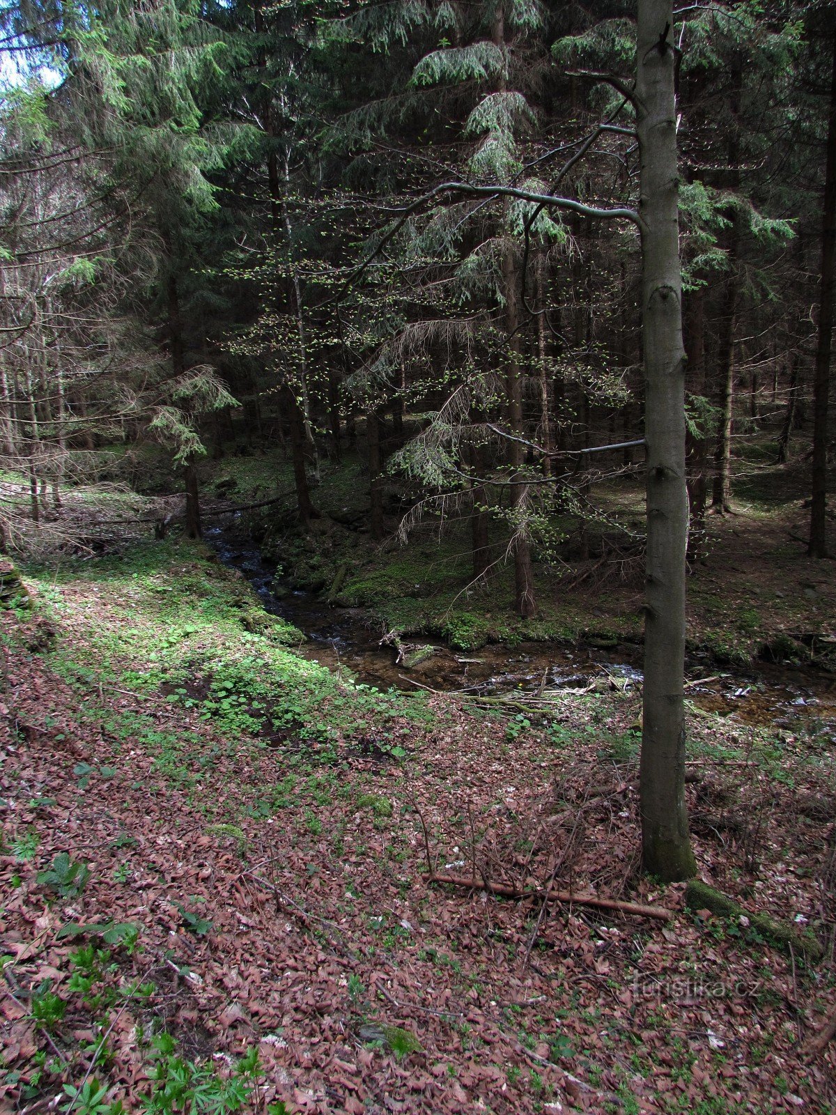 Zlaté brook valley and avenue