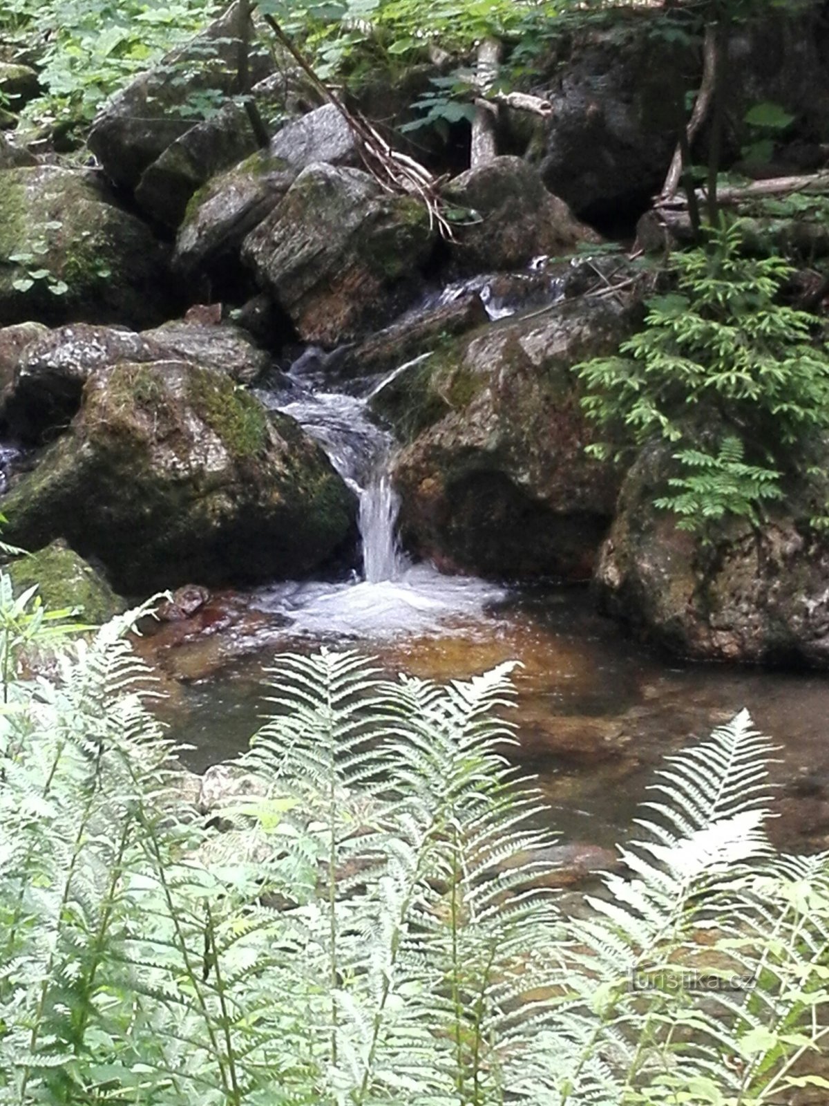 The White Opava Valley