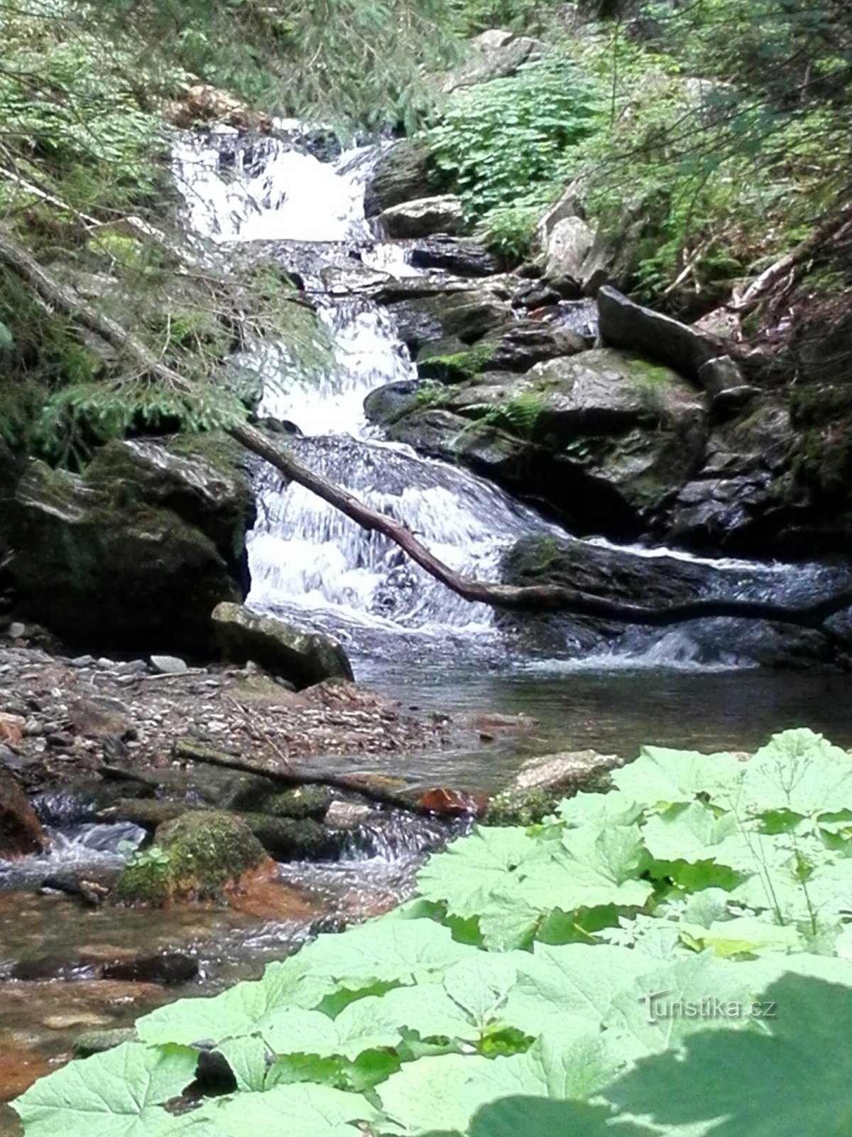 The White Opava Valley