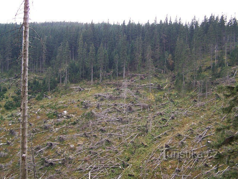 De Witte Opava-vallei