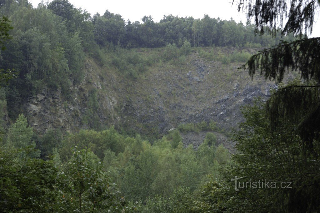 Bystřicen laakso