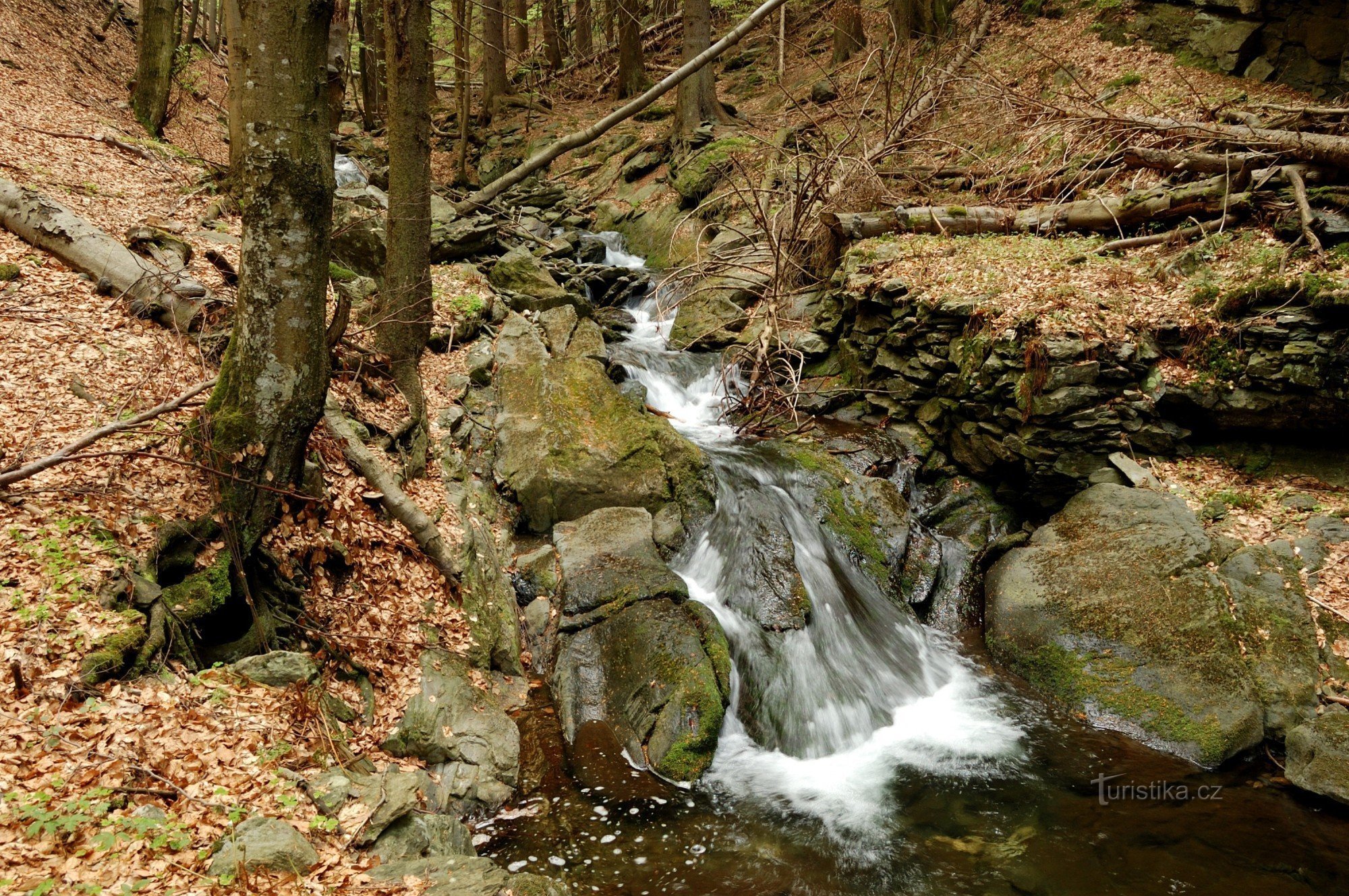 La vallée autour de Merta