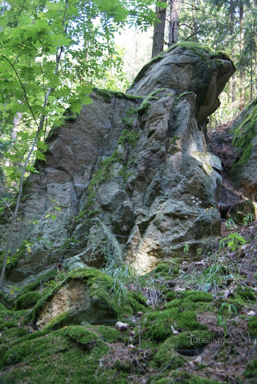 Prin valea Nešůrka până la castelul Doubravický sau Na Boskovice! 2