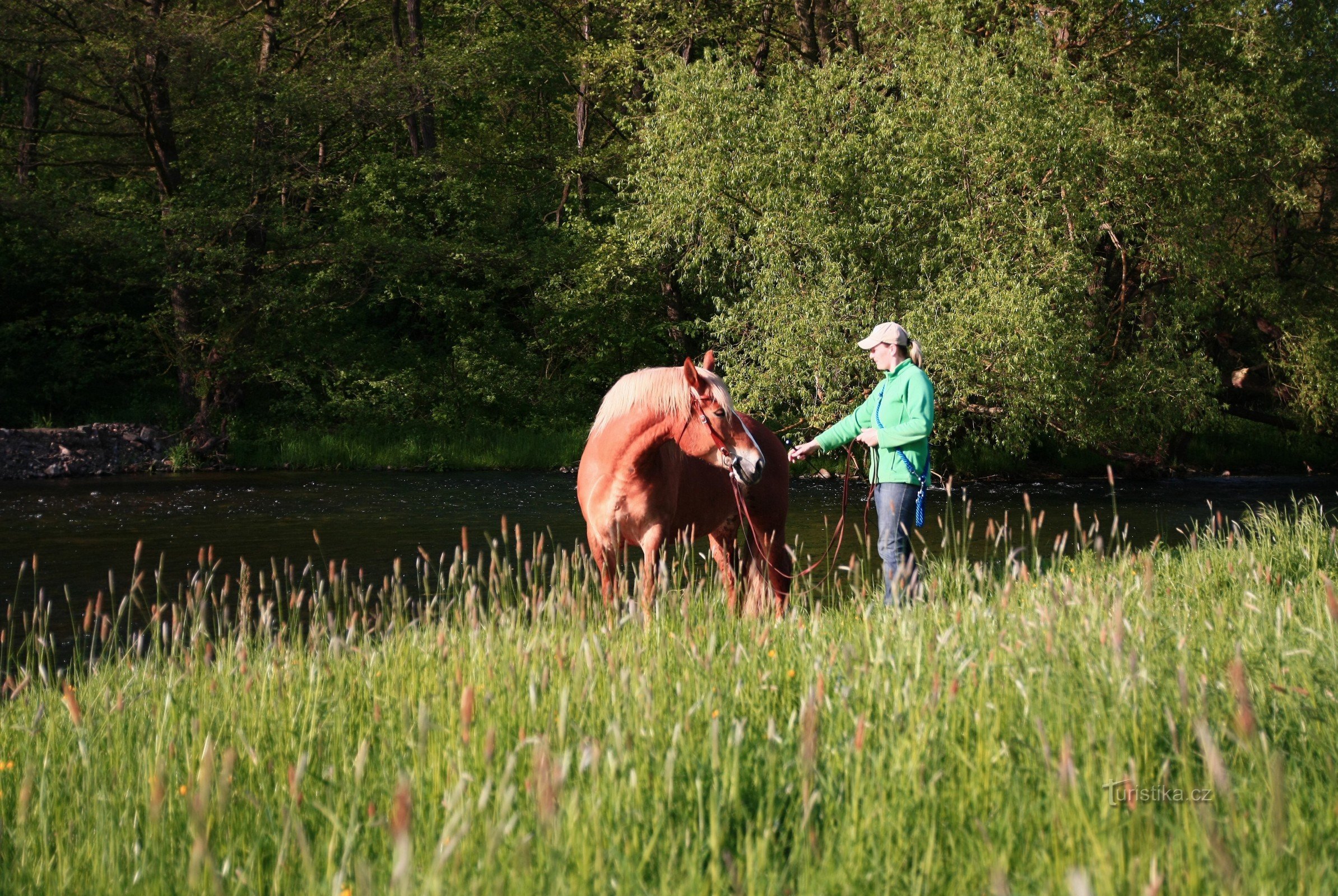 Attraverso la valle del fiume Jihlava