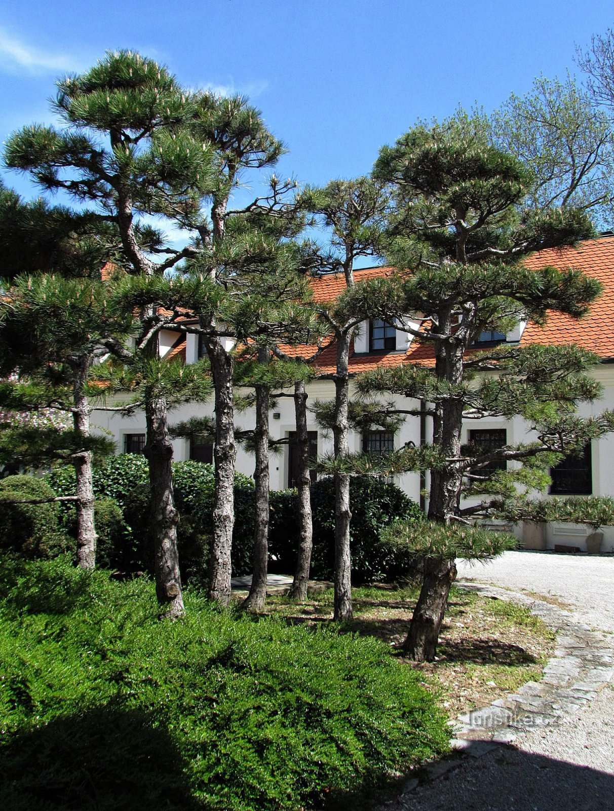 Uherskobrod Japanese garden