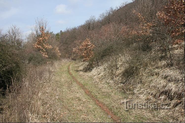 Úhošť: It is a nice walk under the cover of the hill