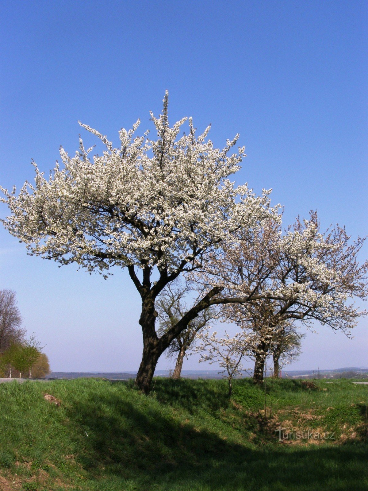 Újezdec - Kreuz, ehemaliger Huf