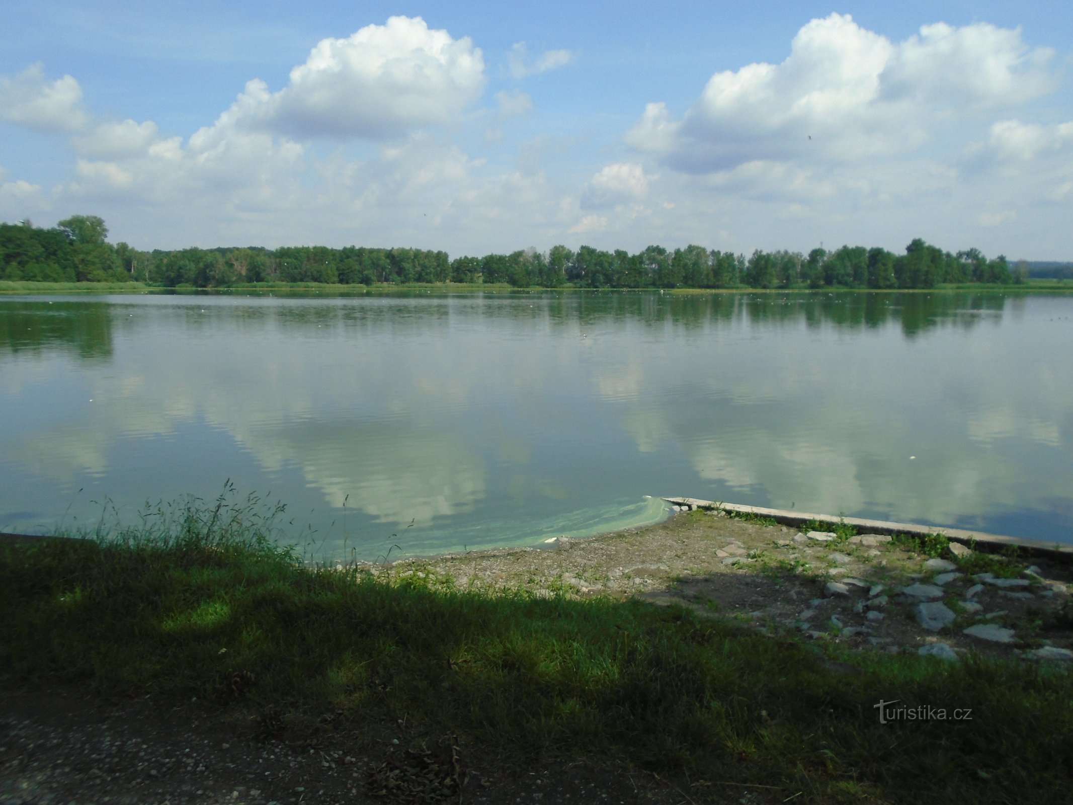 Újezdský rybník (Újezd ​​​​u Sezemic, 2.6.2018 juni XNUMX)