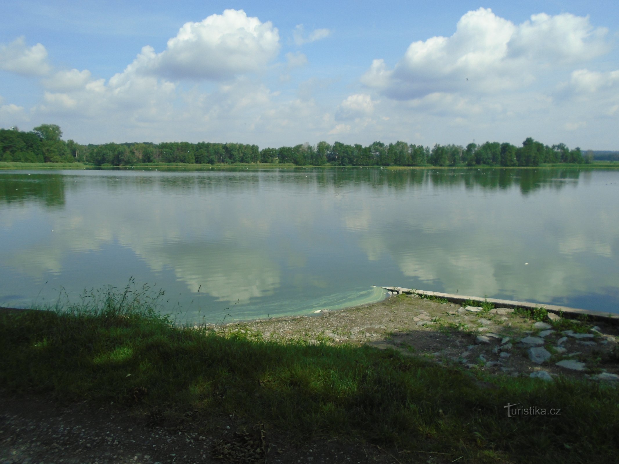 Újezdský rybník (Újezd ​​u Sezemic, 2.6.2018 juin XNUMX)