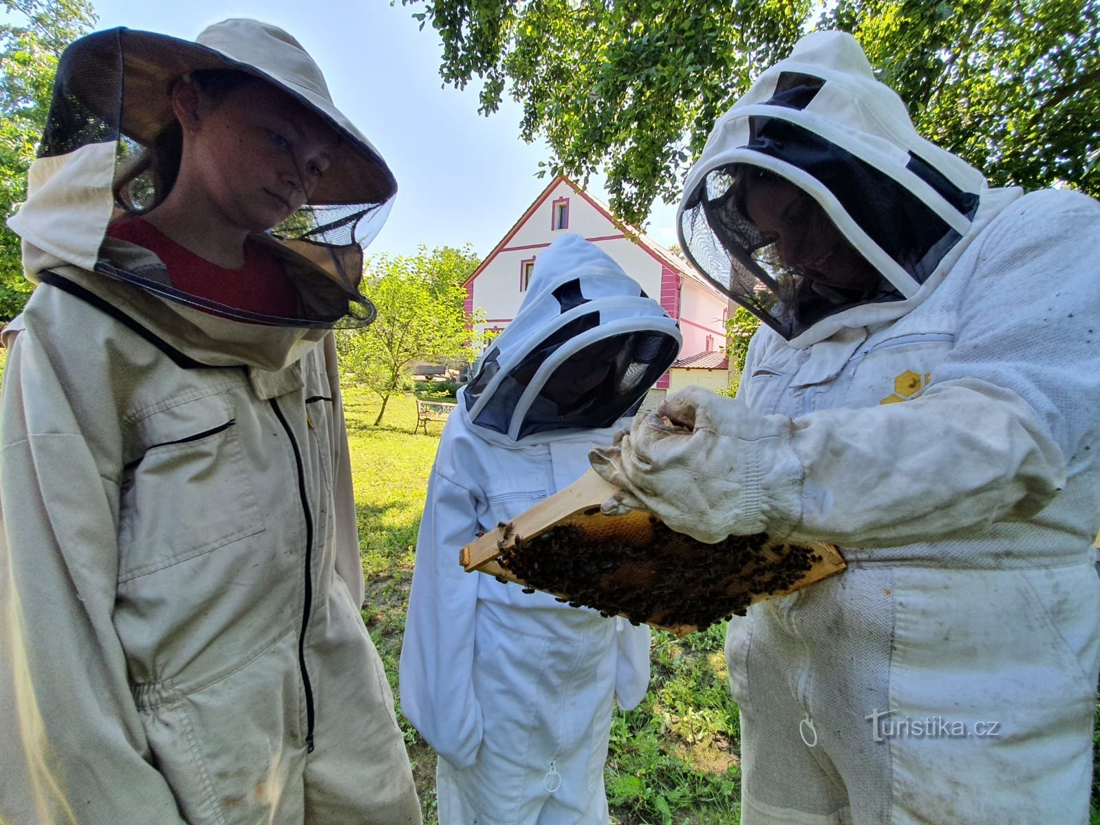 et eksempel på, hvad vi vil se på honeycomb