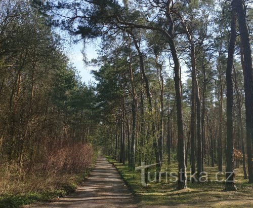 зразок однієї сцени з гри