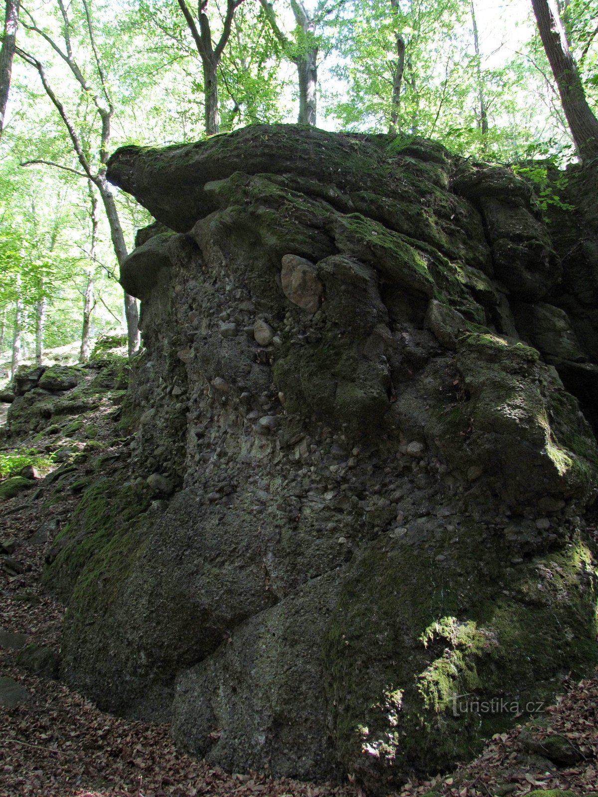 eine Probe von Konglomeraten am linken Hang des Tals