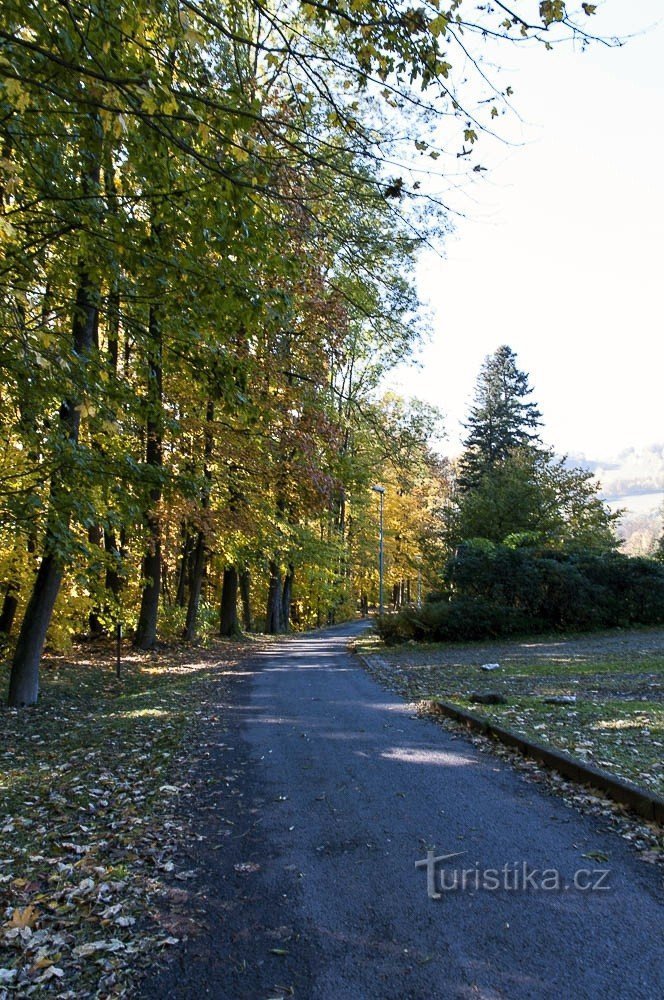 Horova Street