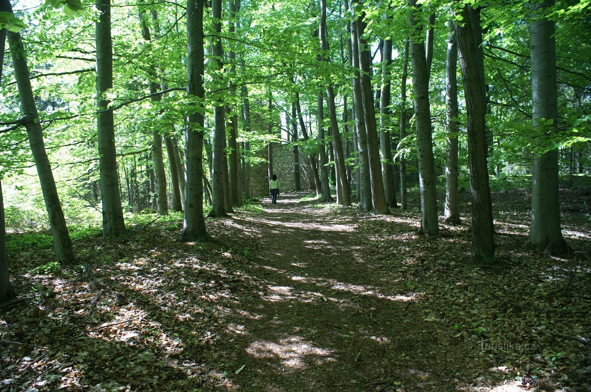 Umetne ruševine Ballymotte